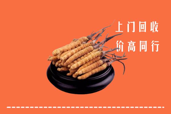 收购行情：拜泉县回收散虫草